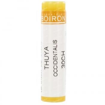 Thuya occident 18lm 10ml gtt