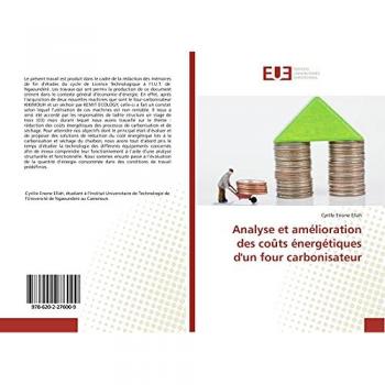 Analyse et amélioration des coûts énergétiques d'un four carbonisateur