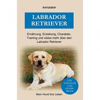 Mein Hund fürs Leben Ratgeber: Labrador Retriever