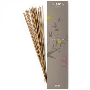 Incenso de Té Esteban, Espíritu Indio