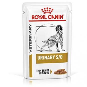 Royal Canin Mini Adult Cibo Completo per Cani Adulti di Piccola Taglia 8KG