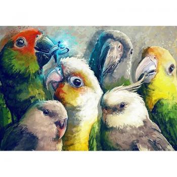 5D Mosaik Stickerei Papageien Design