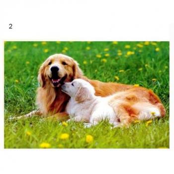Puzzle 1000 pièces pour Adultes et Enfants Animaux