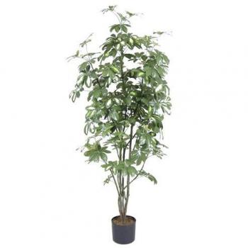 Euro Palms Kunstpflanze Schefflera 150 cm