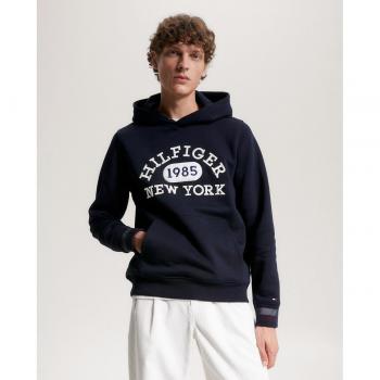Tommy Hilfiger, Hoodies, male, Blue, Size: XL Embroided Logo Hoody Desert Sky