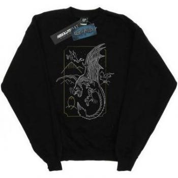Sudadera de Harry Potter para Niños con Dibujo de Dragón