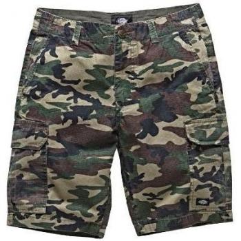Dickies New York Short