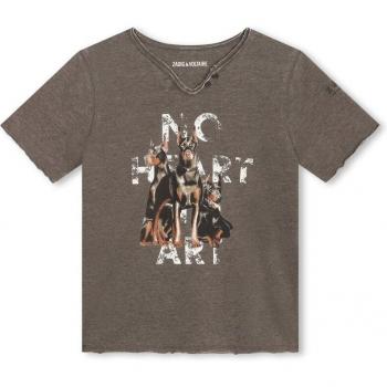 Vêtement Homme Zadig & Voltaire Chemise Courte Vert Junior 12A