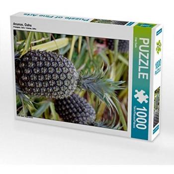 Kalvendo Foto-Puzzle: Ananas Oahu – 1 000 Teile, 48×64 cm