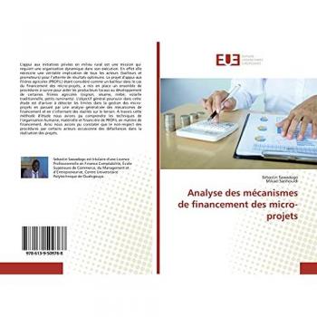Analyse des mécanismes de financement des micro-projets