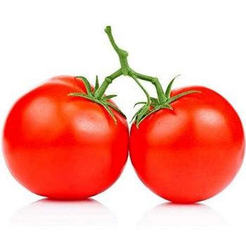 Quality Large Vine Tomatoes 4kg Free Shipping
