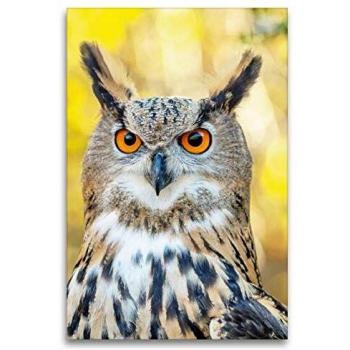 Uhu-Patrouille Leinwand 80x120 cm – Naturportrait
