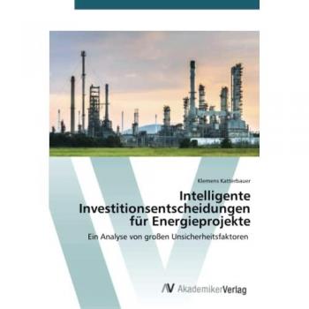Katterbauer, Klemens: Intelligente Investitionsentscheidungen für Energieprojekte