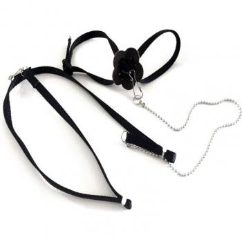 Corde souple pour perroquet