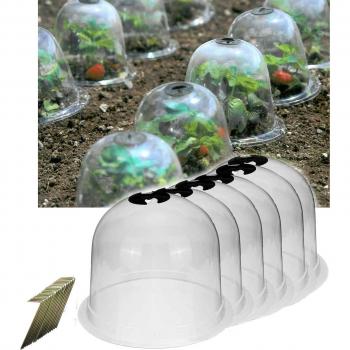 Set of 10 Reusable 10 Garden Plant Bell Covers for Germination