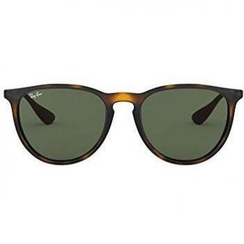 Ray-Ban Erika RB 4171 Sunglasses