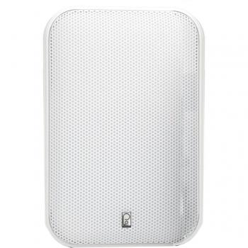 Poly-Planar 5x9 Panel Mount Speaker