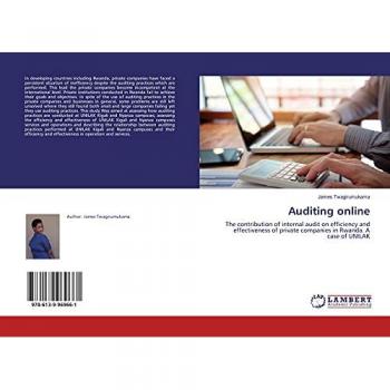 Twagirumukama, James: Auditing online