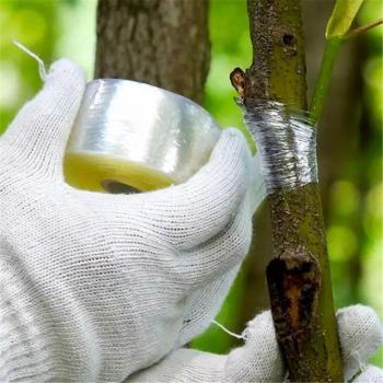 10M Budding and Grafting Tape