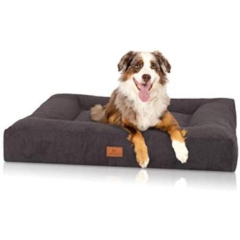 Orthopädisches Hundebett Sofia aus Velours in Schwarz XL