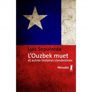 L'Ouzbek muet : et autres histoires clandestines