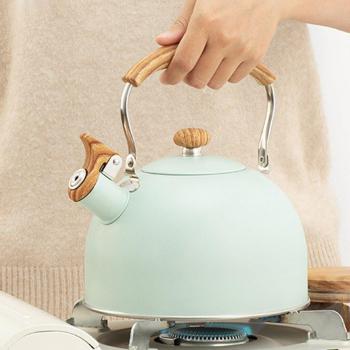 Hervidor de agua para cocina eléctrica 2,5 litros