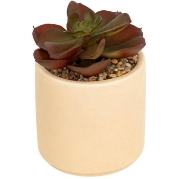 Plante en Pot Nils, Succulente Artificielle, 12 cm