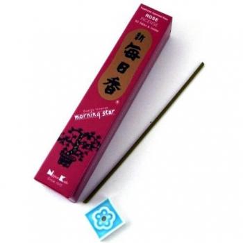 Celestial Morning Star Aromatic Rose