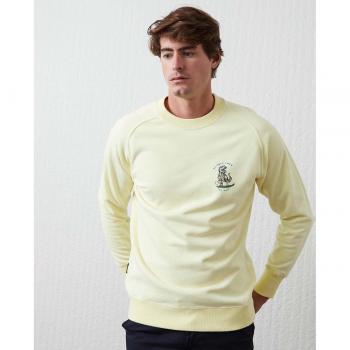 Sudadera Altonadock con serigrafía T-Rex amarilla