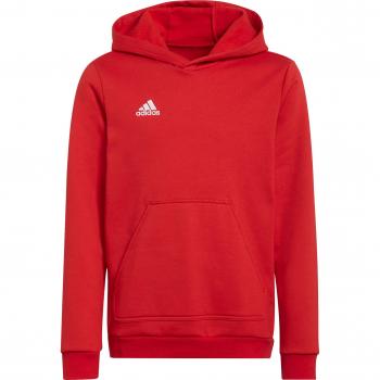 Adidas Felpa Con Cappuccio Entrada 22