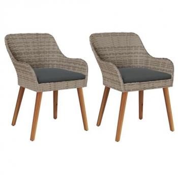 Set di Sedie Vrtna con Telo 2x Nero Polirattan
