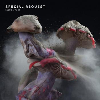 Fabriclive 91 special request