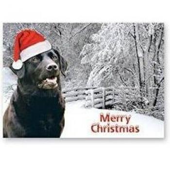 Faithful Friends Black Labrador Christmas Cards Set of Five