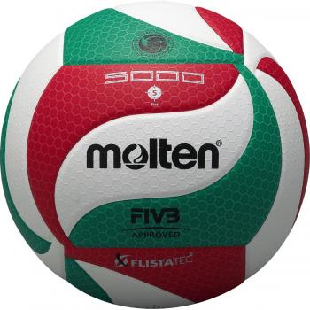 Molten NORCECA Elite Volleyball