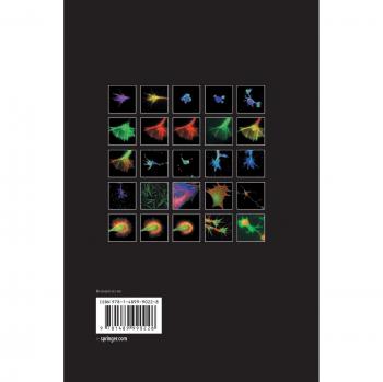 Intracellular Mechanisms for Neuritogenesis