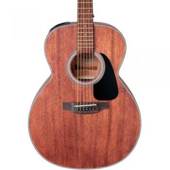 Takamine GLN11ENS Natural Satin Finish