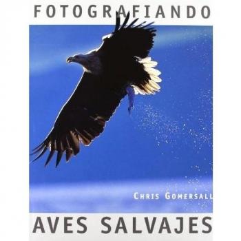FOTOGRAFIANDO AVES SALVAJES
