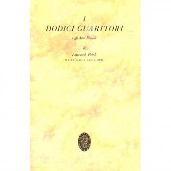 I dodici guaritori e gli altri rimedi