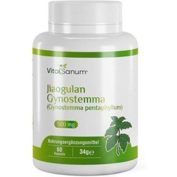 Cap. 60 Jiaogulan Gynostemma VitaSanum