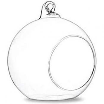 Globe en verre pour terrarium