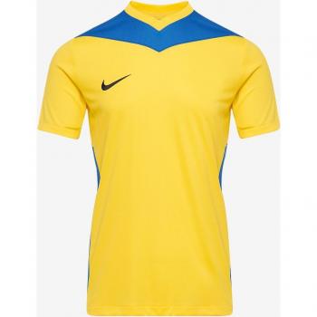 Nike Kinder Dri-FIT Park Derby IV Fußballtrikot Gelb & Blau
