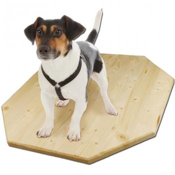 Schwingbrett 8‑Zacken – 40 cm