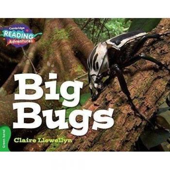 Cambridge Reading Adventures: Big Bugs Green Band Book