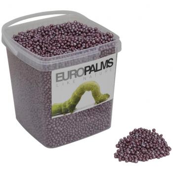 Blähton-Kugeln, cassis, 5,5l Eimer (EUROPALMS)