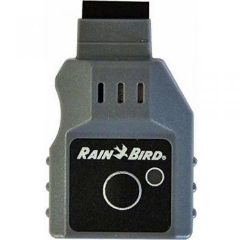 Rain Bird