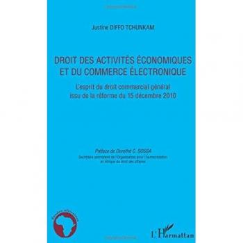 Droit des activités économiques et du commerce électronique: L'esprit du droit commercial général issu de la réforme du 15 décembre 2010