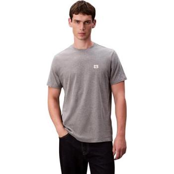 Calvin Klein Gray 2XLT Shirt