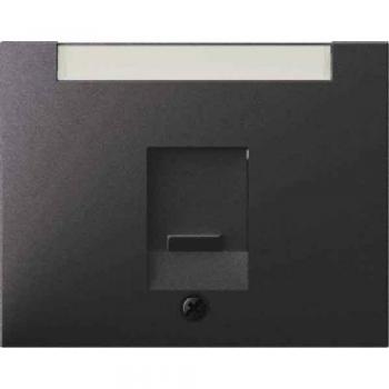 Kommunikationstechnik-Zentralstück Berker 11707006