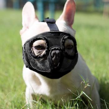 Muselière pour shih-tzu M