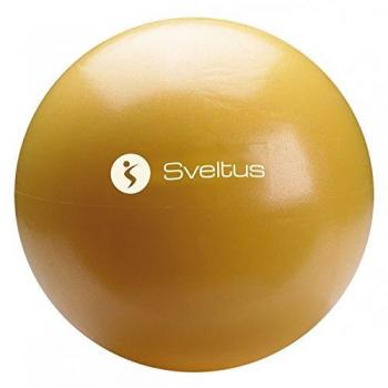 Sveltus Educational Gym Ball